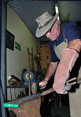 Trevor working on a poppy flower.